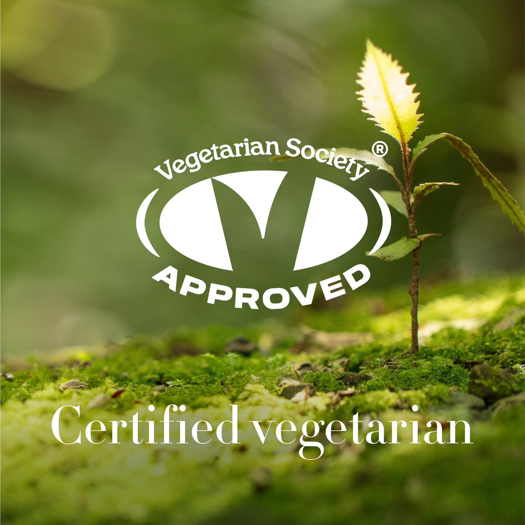 Ceramide Souffl? Fresh Hydration Cream 60ml