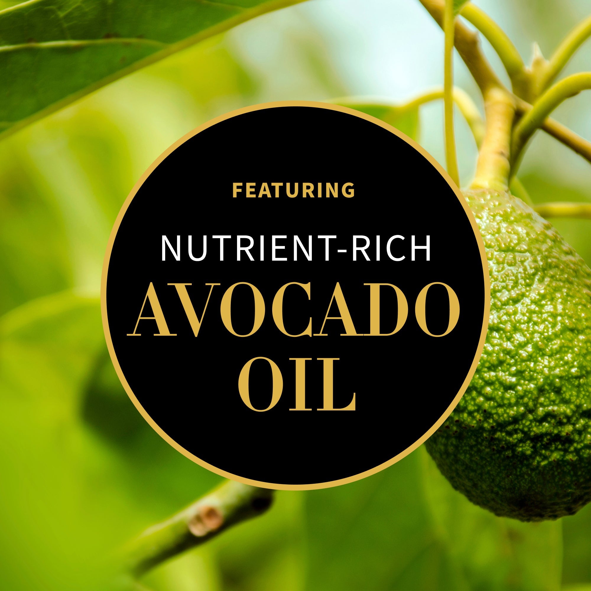Featuring Avocado Oil