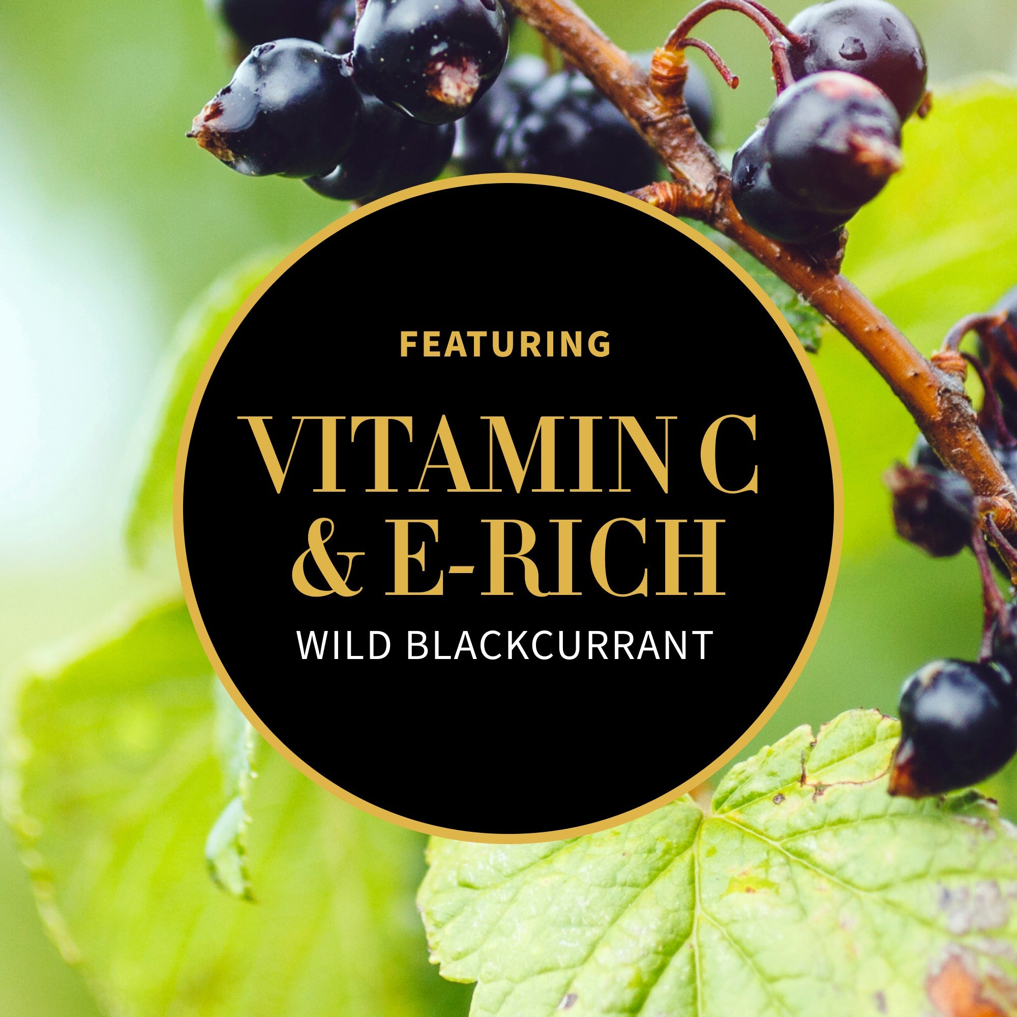 Joyful 芙蓉花水潤絲柔護手霜&身體乳霜120毫升