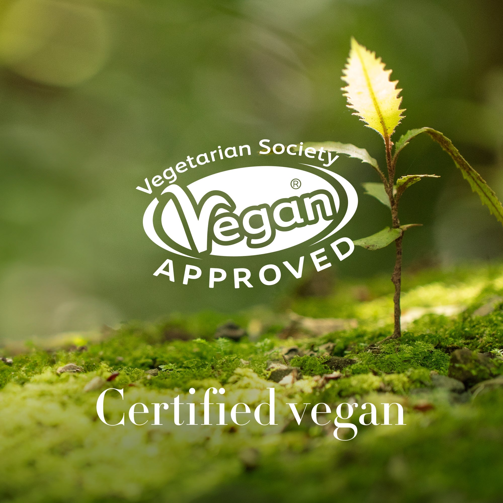 Certified Vegan Label 
