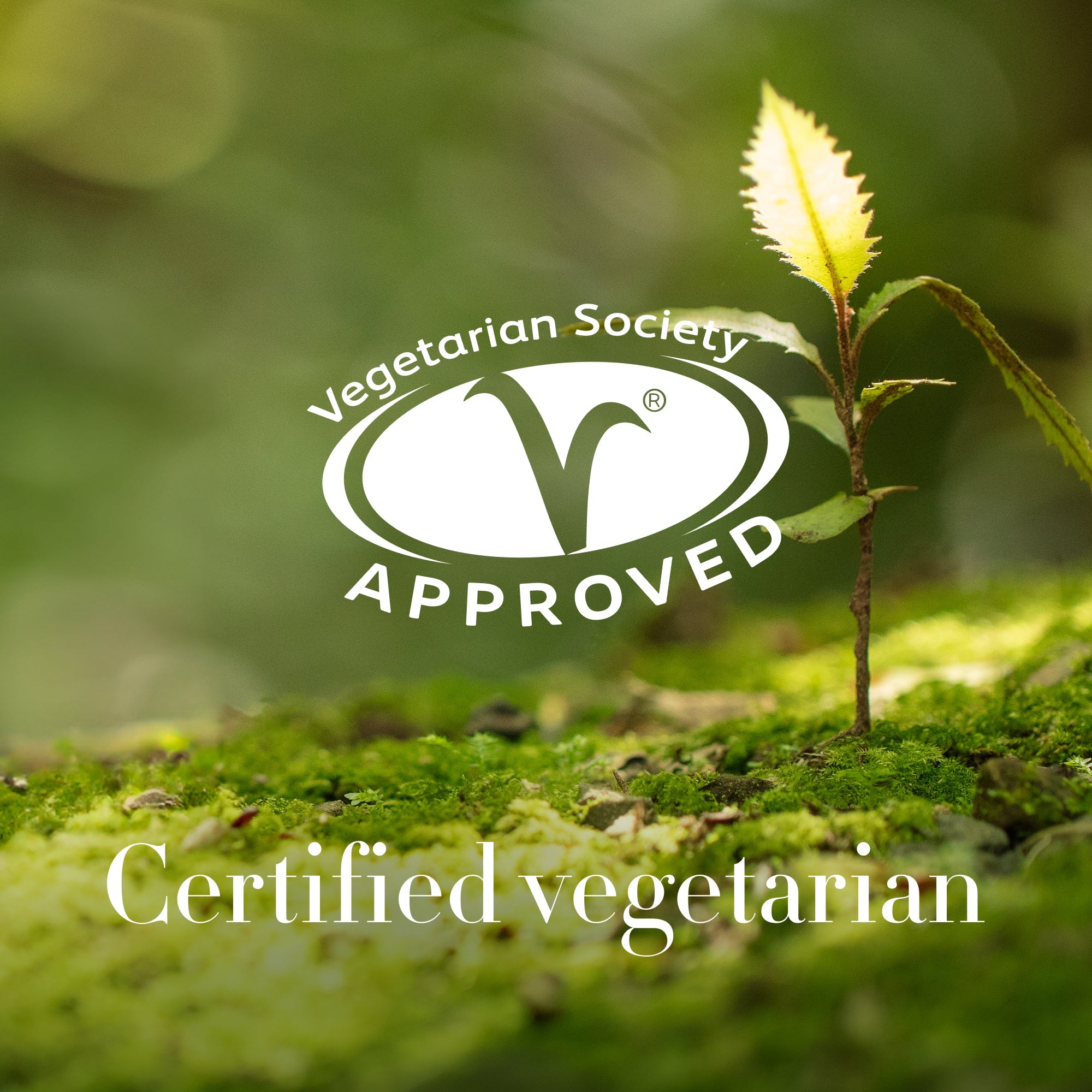 Maya 玻尿酸 72 小時保濕精華 30ml